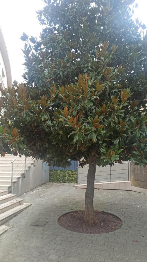 شقة Rosselli93 ماتيرا المظهر الخارجي الصورة